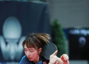 爱游戏官方入口-波兰乒乓球队横扫比利时乒乓球队，张继科打破历史纪录