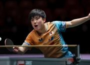 爱游戏网页版-韩国队险胜英格兰队，张本智和高光表现