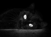 AYXapp下载-英超争冠焦点战硝烟弥漫，多特蒙德轻取德国德比显欧陆格局