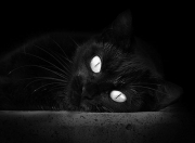 AYXapp下载-英超争冠焦点战硝烟弥漫，多特蒙德轻取德国德比显欧陆格局