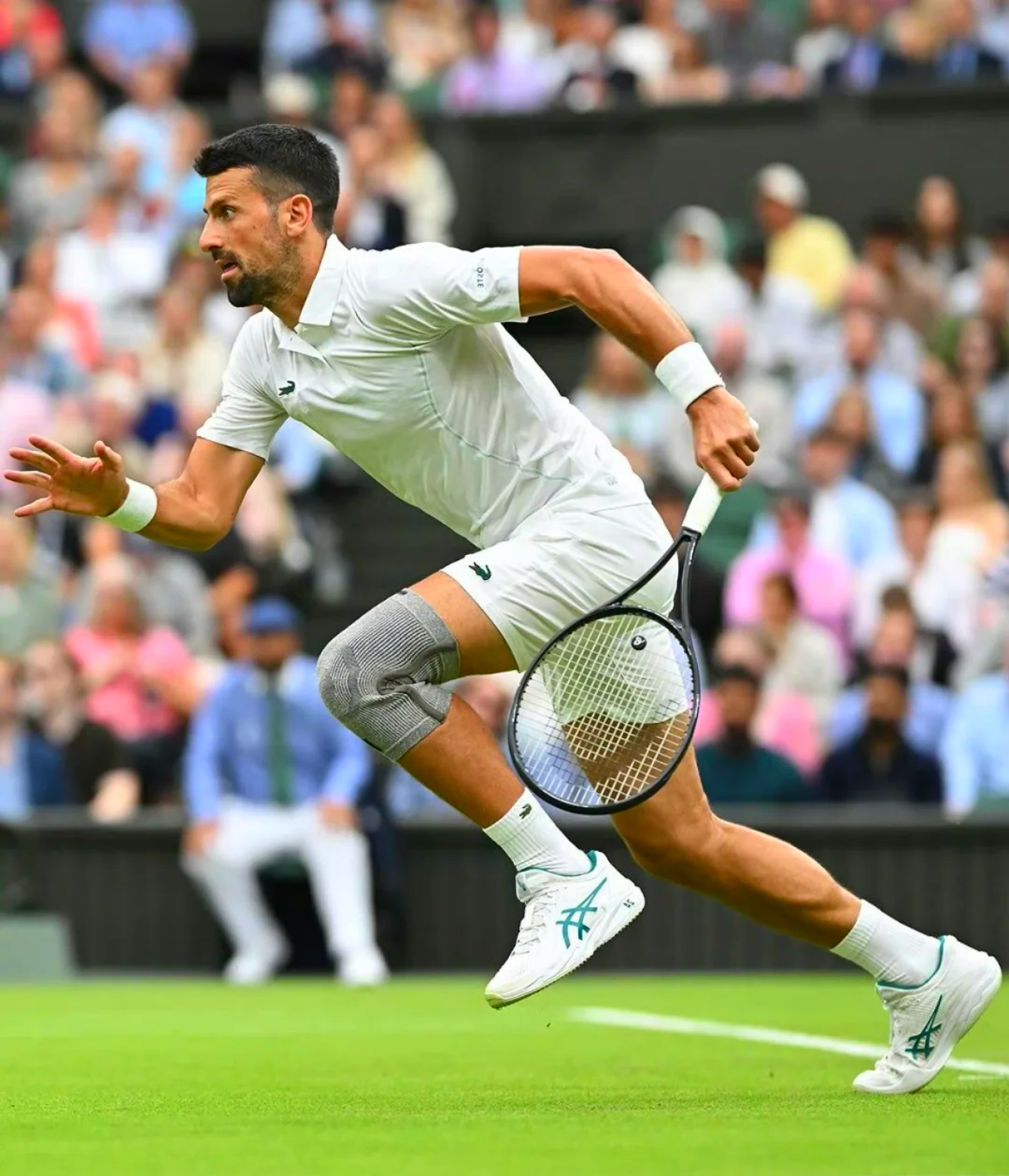 联合杯横扫戴维斯杯，德约科维奇关键制胜