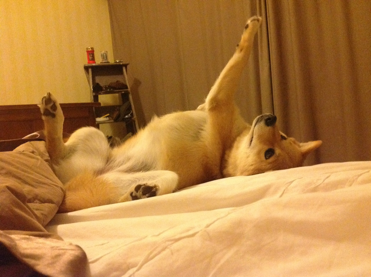 西亚卡姆的救赎之夜，步行者绝杀尼克斯，一场定义季后赛的爆发