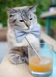 英超争冠焦点战,哥伦比亚巅峰对决,胜者加冕罗马之王